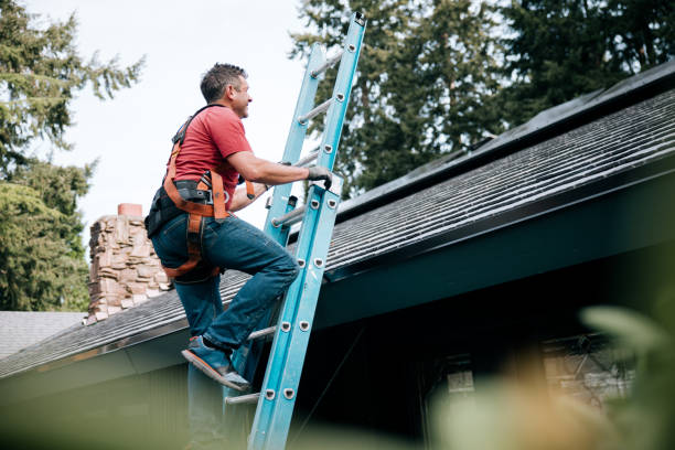 Best Roof Maintenance and Cleaning  in Glenn Dale, MD